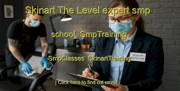 Skinart The Level expert smp school | SmpTraining | SmpClasses | SkinartTraining-United States