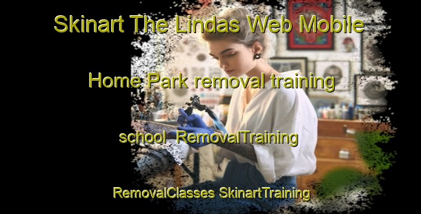 Skinart The Lindas Web Mobile Home Park removal training school | #RemovalTraining #RemovalClasses #SkinartTraining-United States