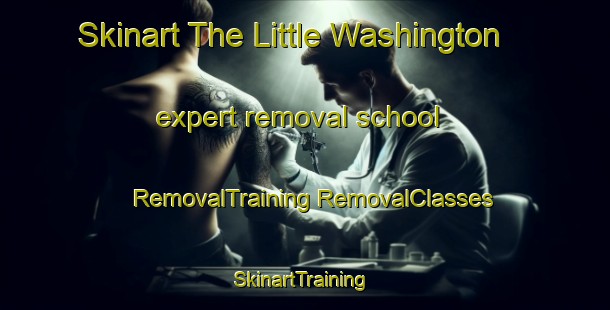 Skinart The Little Washington expert removal school | #RemovalTraining #RemovalClasses #SkinartTraining-United States