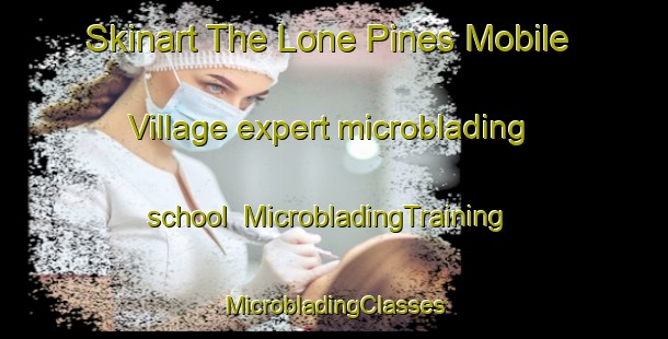 Skinart The Lone Pines Mobile Village expert microblading school | #MicrobladingTraining #MicrobladingClasses #SkinartTraining-United States