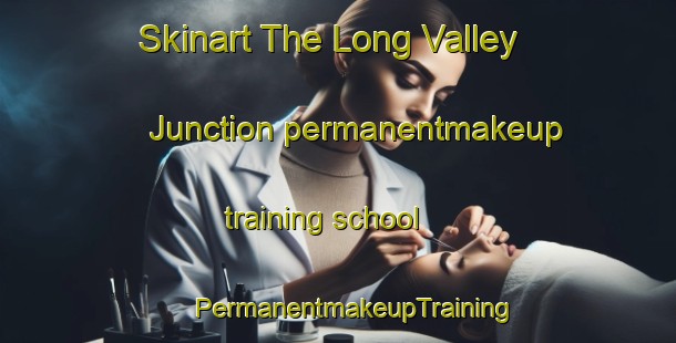 Skinart The Long Valley Junction permanentmakeup training school | #PermanentmakeupTraining #PermanentmakeupClasses #SkinartTraining-United States