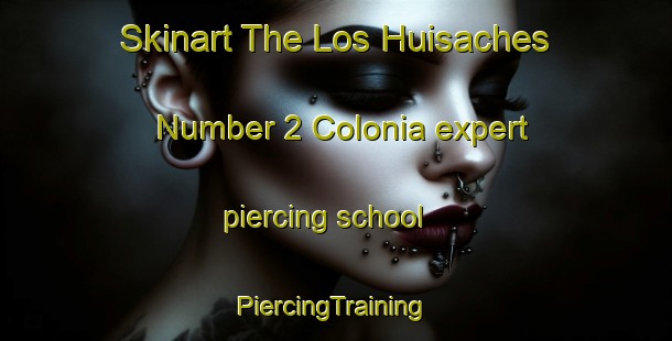 Skinart The Los Huisaches Number 2 Colonia expert piercing school | #PiercingTraining #PiercingClasses #SkinartTraining-United States