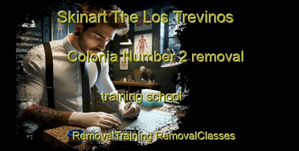 Skinart The Los Trevinos Colonia Number 2 removal training school | #RemovalTraining #RemovalClasses #SkinartTraining-United States