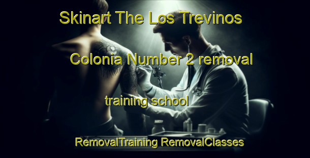 Skinart The Los Trevinos Colonia Number 2 removal training school | #RemovalTraining #RemovalClasses #SkinartTraining-United States