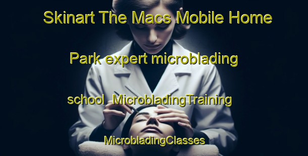 Skinart The Macs Mobile Home Park expert microblading school | #MicrobladingTraining #MicrobladingClasses #SkinartTraining-United States