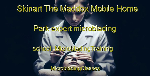 Skinart The Maddox Mobile Home Park expert microblading school | #MicrobladingTraining #MicrobladingClasses #SkinartTraining-United States