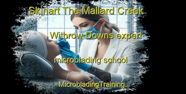 Skinart The Mallard Creek   Withrow Downs expert microblading school | #MicrobladingTraining #MicrobladingClasses #SkinartTraining-United States