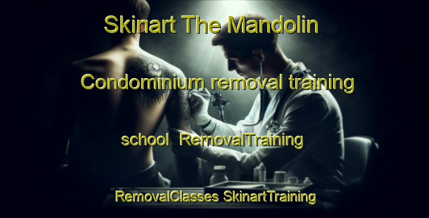 Skinart The Mandolin Condominium removal training school | #RemovalTraining #RemovalClasses #SkinartTraining-United States