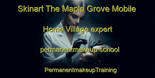 Skinart The Maple Grove Mobile Home Village expert permanentmakeup school | #PermanentmakeupTraining #PermanentmakeupClasses #SkinartTraining-United States