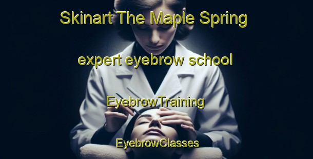 Skinart The Maple Spring expert eyebrow school | EyebrowTraining | EyebrowClasses | SkinartTraining-United States