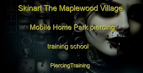 Skinart The Maplewood Village Mobile Home Park piercing training school | #PiercingTraining #PiercingClasses #SkinartTraining-United States