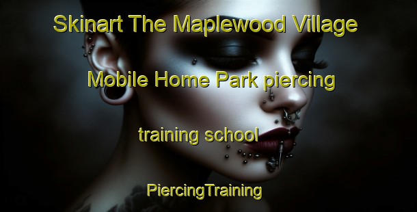 Skinart The Maplewood Village Mobile Home Park piercing training school | #PiercingTraining #PiercingClasses #SkinartTraining-United States