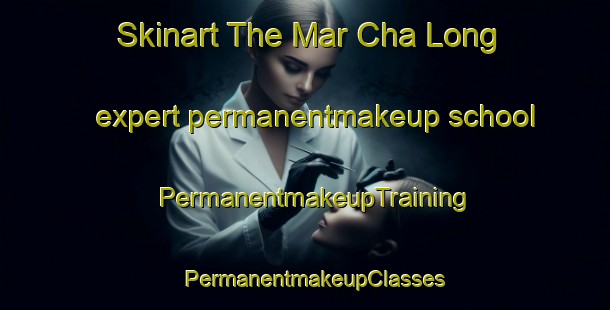 Skinart The Mar Cha Long expert permanentmakeup school | PermanentmakeupTraining | PermanentmakeupClasses | SkinartTraining-United States