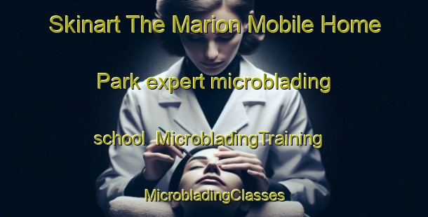 Skinart The Marion Mobile Home Park expert microblading school | #MicrobladingTraining #MicrobladingClasses #SkinartTraining-United States