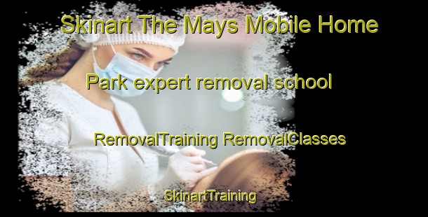 Skinart The Mays Mobile Home Park expert removal school | #RemovalTraining #RemovalClasses #SkinartTraining-United States