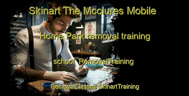 Skinart The Mcclures Mobile Home Park removal training school | #RemovalTraining #RemovalClasses #SkinartTraining-United States