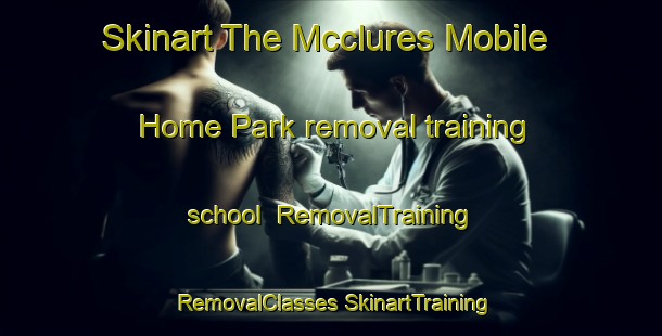 Skinart The Mcclures Mobile Home Park removal training school | #RemovalTraining #RemovalClasses #SkinartTraining-United States