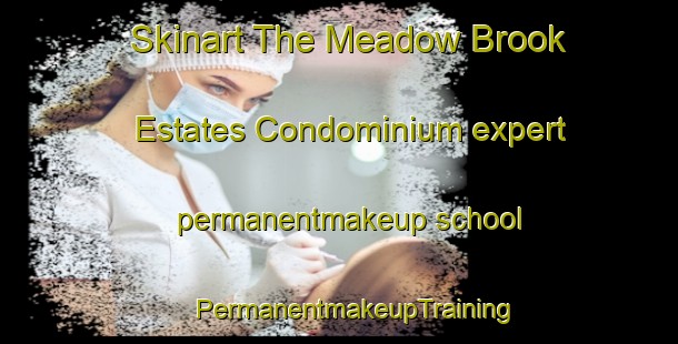 Skinart The Meadow Brook Estates Condominium expert permanentmakeup school | #PermanentmakeupTraining #PermanentmakeupClasses #SkinartTraining-United States