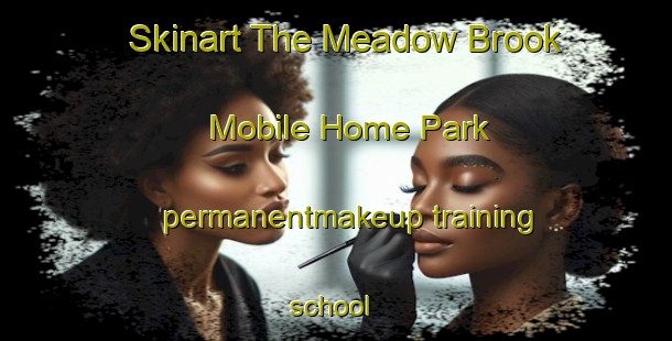 Skinart The Meadow Brook Mobile Home Park permanentmakeup training school | #PermanentmakeupTraining #PermanentmakeupClasses #SkinartTraining-United States