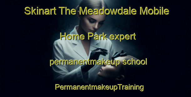 Skinart The Meadowdale Mobile Home Park expert permanentmakeup school | #PermanentmakeupTraining #PermanentmakeupClasses #SkinartTraining-United States