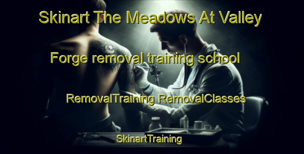 Skinart The Meadows At Valley Forge removal training school | #RemovalTraining #RemovalClasses #SkinartTraining-United States