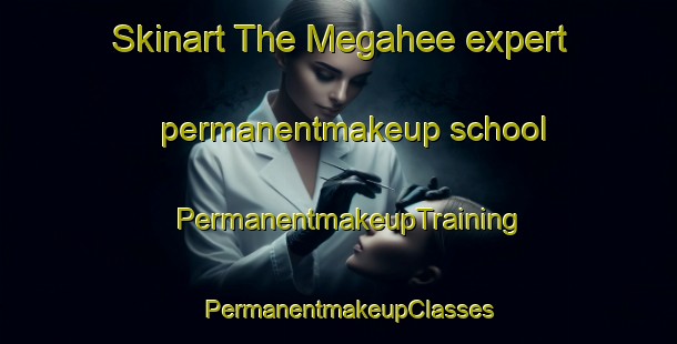 Skinart The Megahee expert permanentmakeup school | PermanentmakeupTraining | PermanentmakeupClasses | SkinartTraining-United States