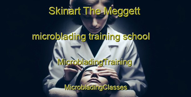 Skinart The Meggett microblading training school | #MicrobladingTraining #MicrobladingClasses #SkinartTraining-United States