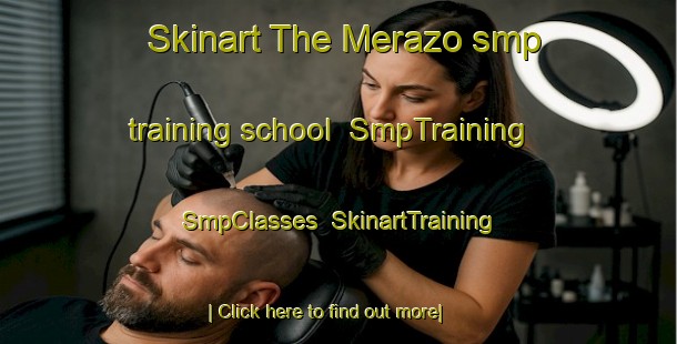 Skinart The Merazo smp training school | SmpTraining | SmpClasses | SkinartTraining-United States