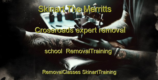 Skinart The Merritts Crossroads expert removal school | #RemovalTraining #RemovalClasses #SkinartTraining-United States