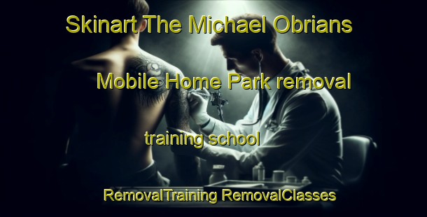 Skinart The Michael Obrians Mobile Home Park removal training school | #RemovalTraining #RemovalClasses #SkinartTraining-United States