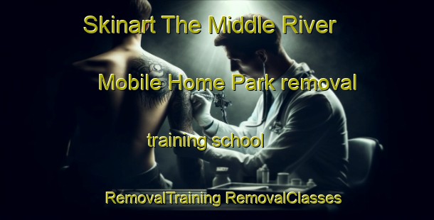 Skinart The Middle River Mobile Home Park removal training school | #RemovalTraining #RemovalClasses #SkinartTraining-United States