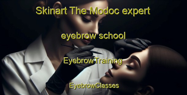 Skinart The Modoc expert eyebrow school | EyebrowTraining | EyebrowClasses | SkinartTraining-United States