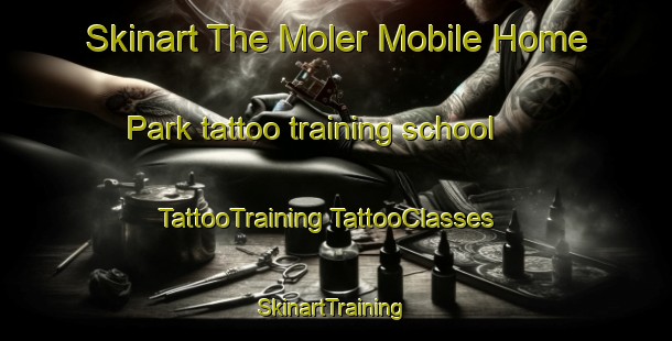 Skinart The Moler Mobile Home Park tattoo training school | #TattooTraining #TattooClasses #SkinartTraining-United States