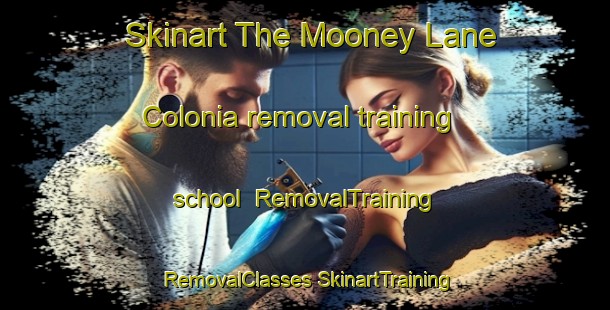 Skinart The Mooney Lane Colonia removal training school | #RemovalTraining #RemovalClasses #SkinartTraining-United States