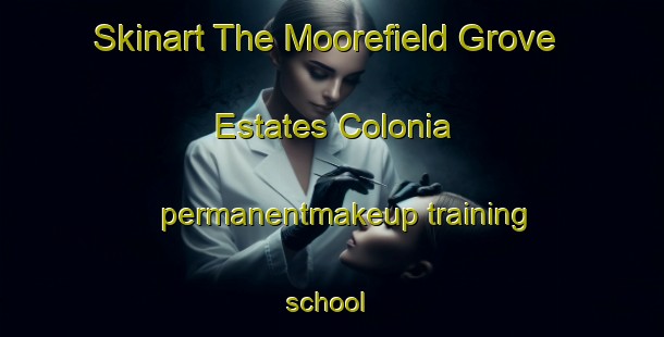 Skinart The Moorefield Grove Estates Colonia permanentmakeup training school | #PermanentmakeupTraining #PermanentmakeupClasses #SkinartTraining-United States