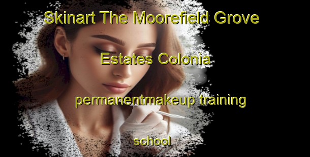 Skinart The Moorefield Grove Estates Colonia permanentmakeup training school | #PermanentmakeupTraining #PermanentmakeupClasses #SkinartTraining-United States