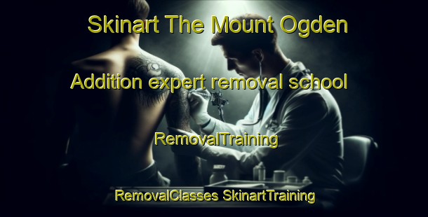 Skinart The Mount Ogden Addition expert removal school | #RemovalTraining #RemovalClasses #SkinartTraining-United States