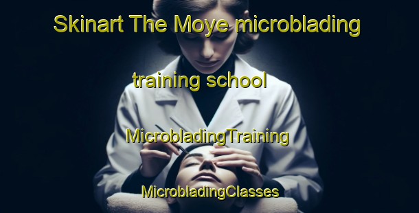 Skinart The Moye microblading training school | #MicrobladingTraining #MicrobladingClasses #SkinartTraining-United States