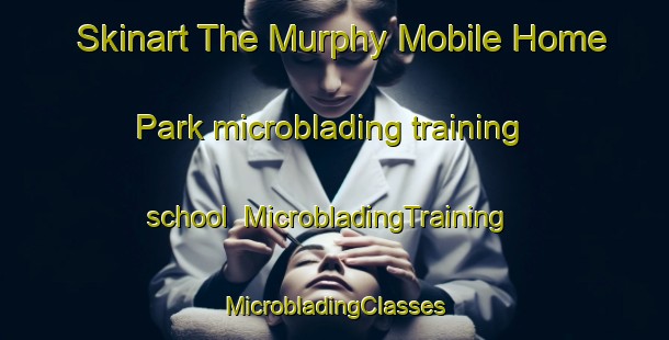 Skinart The Murphy Mobile Home Park microblading training school | #MicrobladingTraining #MicrobladingClasses #SkinartTraining-United States