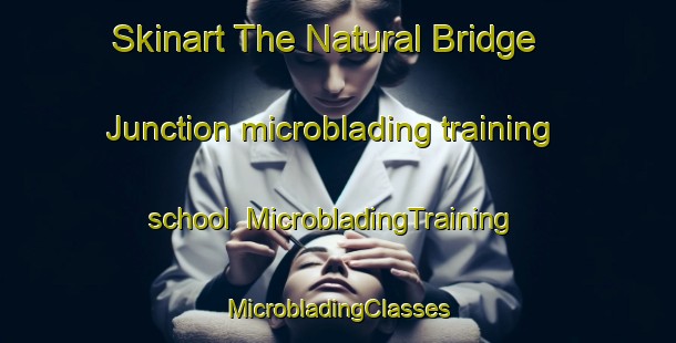 Skinart The Natural Bridge Junction microblading training school | #MicrobladingTraining #MicrobladingClasses #SkinartTraining-United States