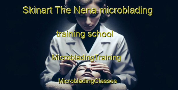 Skinart The Nena microblading training school | MicrobladingTraining | MicrobladingClasses | SkinartTraining-United States