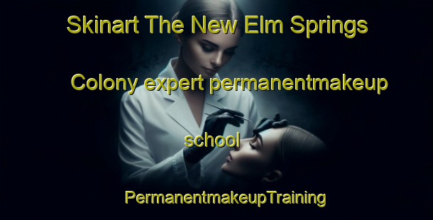 Skinart The New Elm Springs Colony expert permanentmakeup school | #PermanentmakeupTraining #PermanentmakeupClasses #SkinartTraining-United States