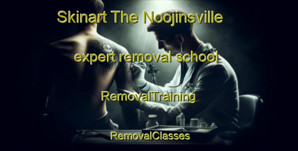 Skinart The Noojinsville expert removal school | RemovalTraining | RemovalClasses | SkinartTraining-United States