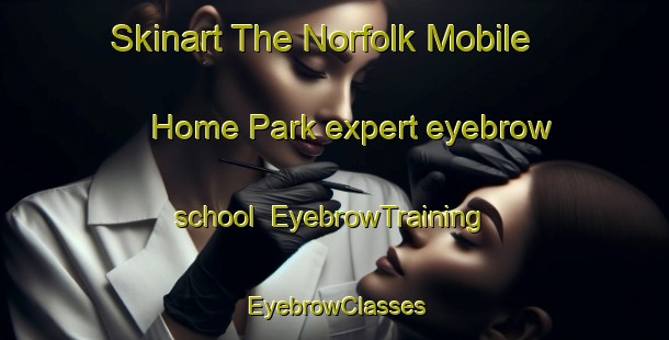 Skinart The Norfolk Mobile Home Park expert eyebrow school | EyebrowTraining | EyebrowClasses | SkinartTraining-United States