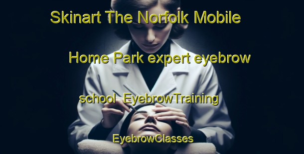 Skinart The Norfolk Mobile Home Park expert eyebrow school | EyebrowTraining | EyebrowClasses | SkinartTraining-United States
