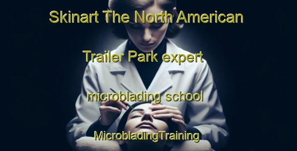 Skinart The North American Trailer Park expert microblading school | #MicrobladingTraining #MicrobladingClasses #SkinartTraining-United States