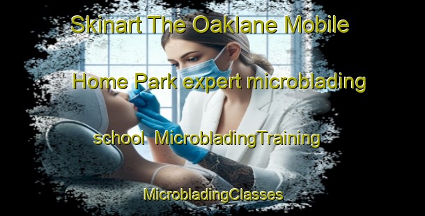 Skinart The Oaklane Mobile Home Park expert microblading school | #MicrobladingTraining #MicrobladingClasses #SkinartTraining-United States