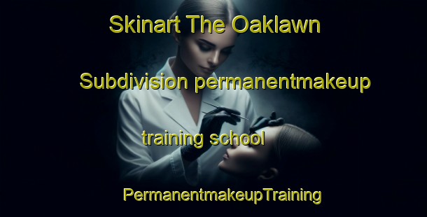 Skinart The Oaklawn Subdivision permanentmakeup training school | #PermanentmakeupTraining #PermanentmakeupClasses #SkinartTraining-United States