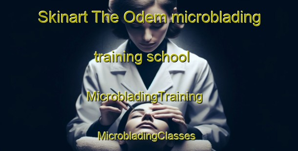 Skinart The Odem microblading training school | MicrobladingTraining | MicrobladingClasses | SkinartTraining-United States