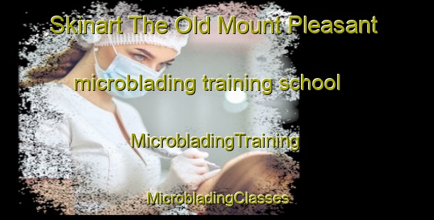 Skinart The Old Mount Pleasant microblading training school | #MicrobladingTraining #MicrobladingClasses #SkinartTraining-United States